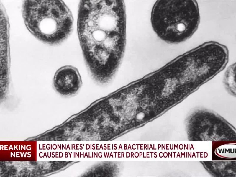 Lincoln outbreak: What is Legionnaires' disease?